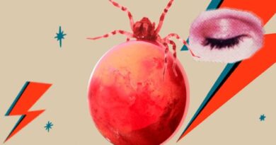 Demofest se vraća u Banjaluku?