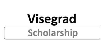 Prijavite se za Visegrad stipendiju za Istočnu Evropu