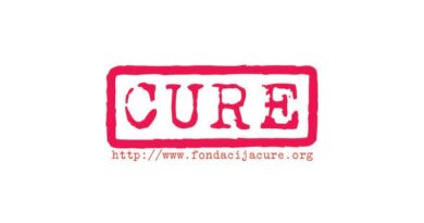 Fondacija CURE objavljuje poziv za dostavu ponude za izradu priručnika o rodno zasnovanom nasilju