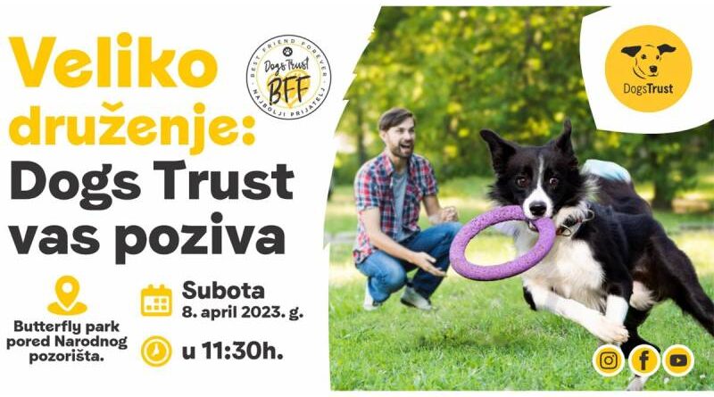 Veliko Dogs Trust druženje u Banjaluci