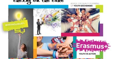 Training course: “Cherry on the cake” - Youth Exchange in the context of long term work with groups of young people