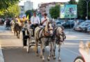 U duhu tradicije: Banja Luka se priprema za obilježavanje praznika Duhovi