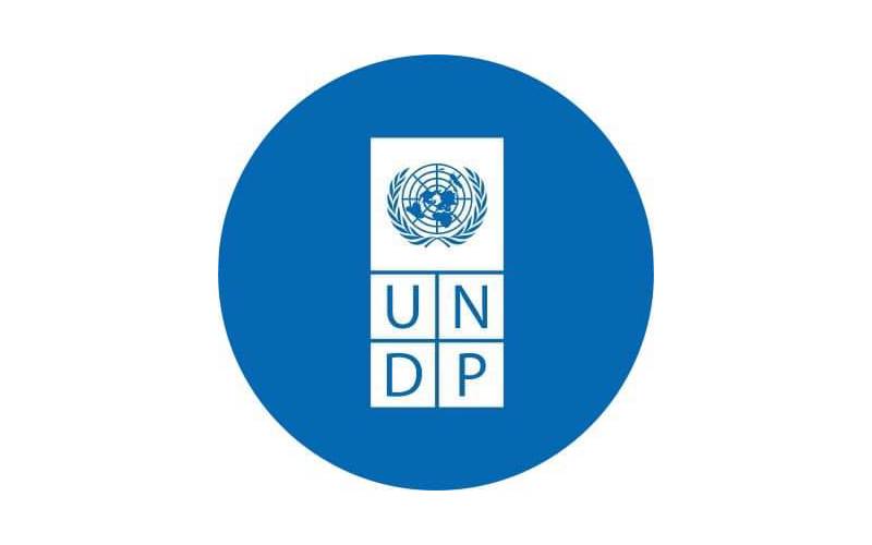 UNDP internship