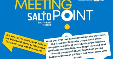 SALTO South East Europe “Meeting Point” 1: Let’s talk about how SALTO SEE can support you