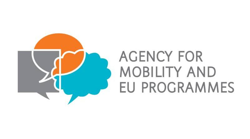 Volunteering Teams as a Tool to support Inclusion