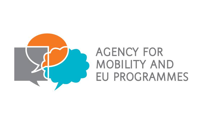 Volunteering Teams as a Tool to support Inclusion