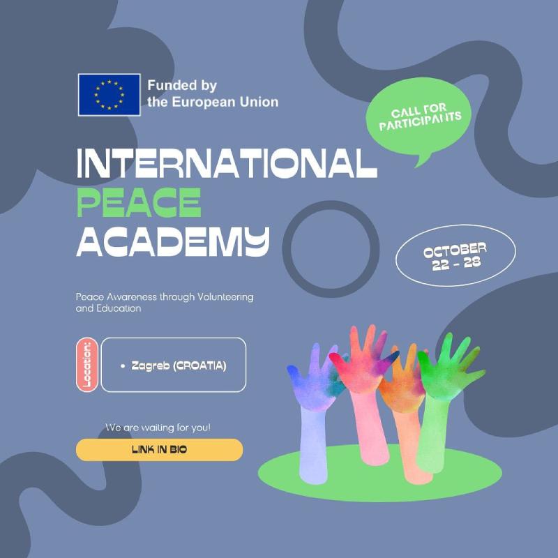 The International Peace Academy