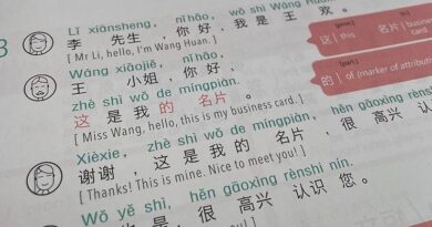 Poslovni kineski jezik