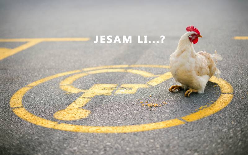 Banjalučka umjetnica Jelena Medić postavlja nam svima jedno važno pitanje: “Jesam li …?”