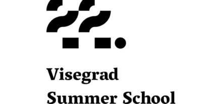 22. Visegrad Summer School – call for application