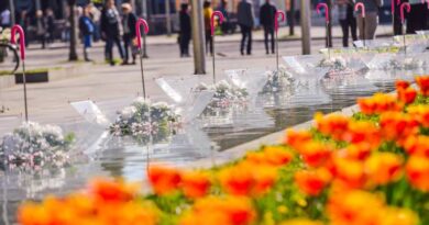 Banja Luka priprema cvjetnu čaroliju: U petak otvaranje Banjalučkog festivala cvijeća