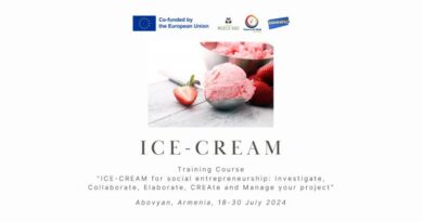 ICE-CREAM for social entrepreneurship: Investigate, Collaborate, Elaborate, CREAte and Manage your project