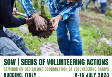 Training Course - SOW: Seeds of Volunteering Actions