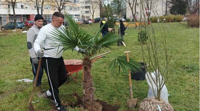 Banja Luka dobija neobični park sačinjen od rijetkih vrsta drveća