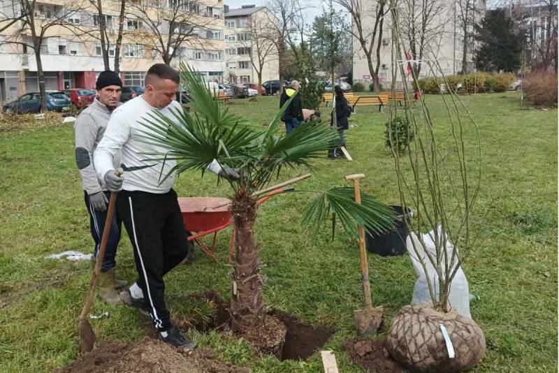 Banja Luka dobija neobični park sačinjen od rijetkih vrsta drveća