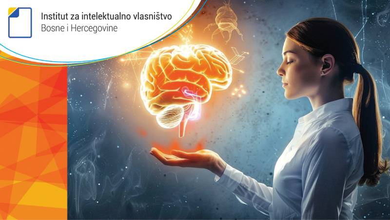 Seminar: "Zaštita intelektualnog vlasništva u Bosni i Hercegovini i inostranstvu"