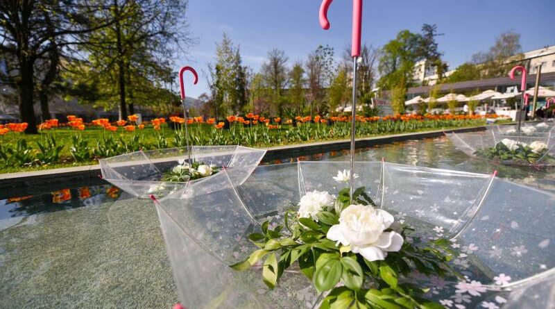 Festival cvijeća od 11. do 13. aprila: Pri kraju prijave za učešće