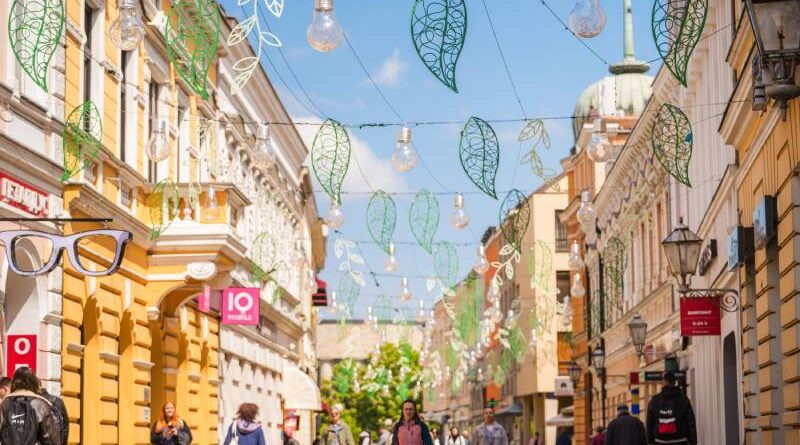 Podrška roditeljstvu: Otvoren javni poziv za sufinansiranje vantjelesne oplodnje