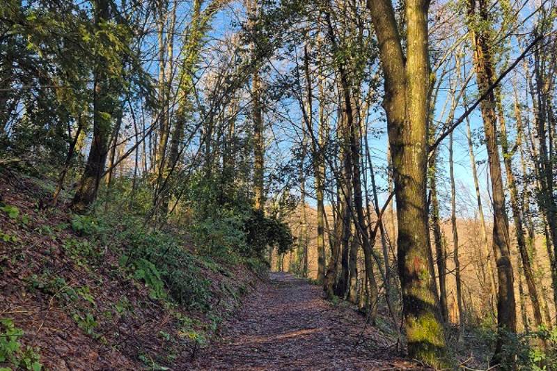 Zatvoren prolaz za posjetioce: Počela sanacija pješačke staze prema izletištu Trešnjik