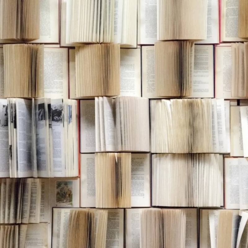 Međunarodni trening „Literature as a Bridge“