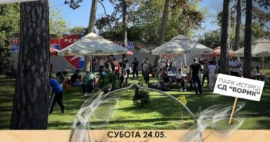 Jubilarni 20. "Borikov piknik"