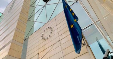 Funded traineeships for young graduates at the EU Delegation to Bosnia and Herzegovina - Various sections