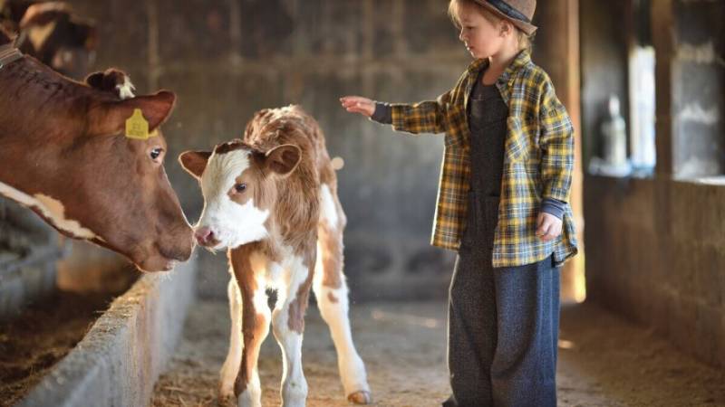 Otvoren je RuralFoto - izbor najboljih ruralnih fotografija u 2025. godini