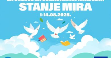 Omladinska akademija: Stanje mira