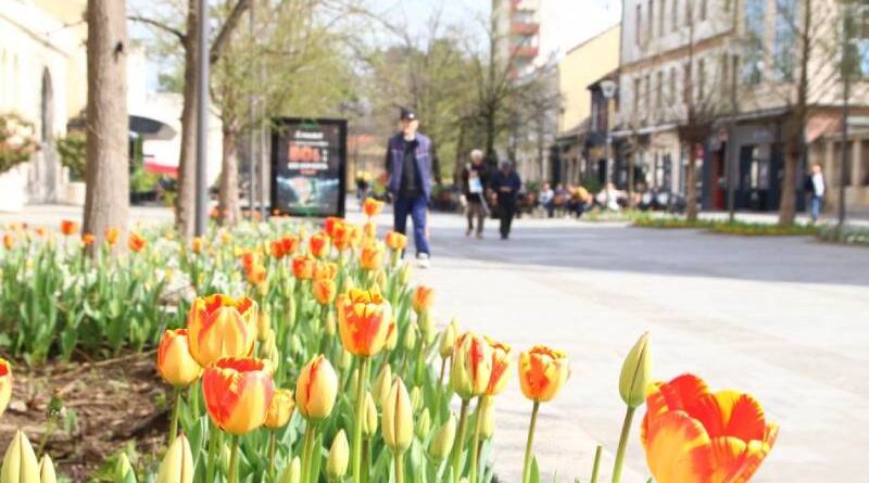 Unutrašnje migracije u Srpskoj: Svi bi da žive u Banjaluci, a Banjalučani se sele u Laktaše