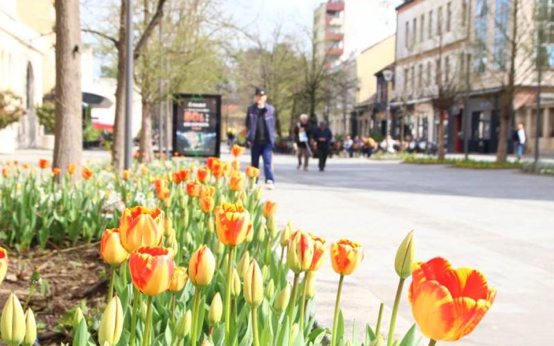 Unutrašnje migracije u Srpskoj: Svi bi da žive u Banjaluci, a Banjalučani se sele u Laktaše