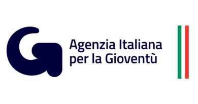 APPETISER - An introduction to international youth work