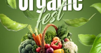 ORGANIK FEST