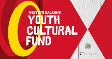 Radionica: "Od ideje do projekta: kako kultura doprinosi izgradnji mira?"