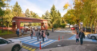 Za veću bezbjednost u zonama škola: Kod Gimnazije postavljena nova platforma i plavi pješački prelazi