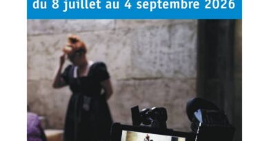 Ljetna univerzitetska škola FEMIS