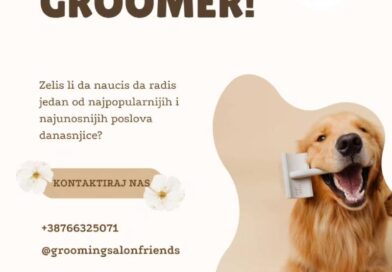 Postani profesionalni groomer!