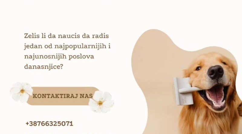 Postani profesionalni groomer!