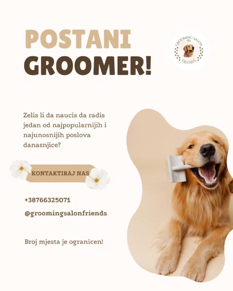 Postani profesionalni groomer!