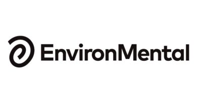 Systemic Approach - First Steps (online training course for educators, coaches and trainers)