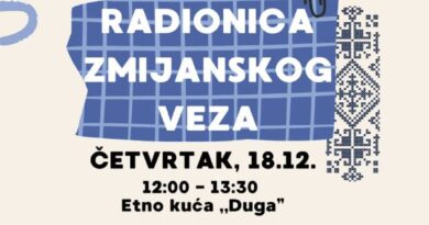 Radionica zmijanskog veza