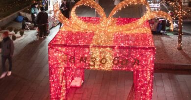 „Zimzobal“: Pogledajte program za posljednju sedmicu ove zimske manifestacije