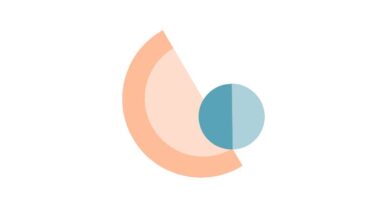 Alive to Thrive: Digital Partners Fair to make Erasmus+ collaboration come alive