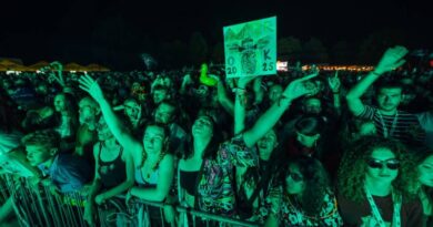 Novi talas izvođača za Jelen OK Fest 2026