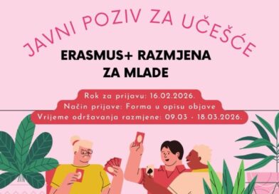 Međunarodni trening o građanskom angažmanu mladih