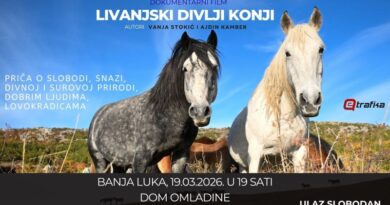 Banjaluko, dođi na film o livanjskim divljim konjima