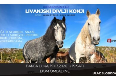 Banjaluko, dođi na film o livanjskim divljim konjima