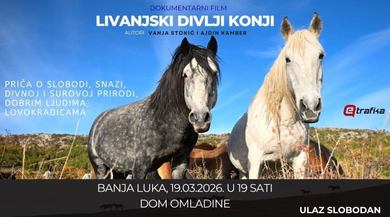 Banjaluko, dođi na film o livanjskim divljim konjima