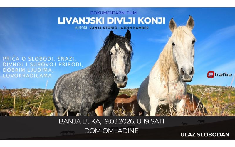 Banjaluko, dođi na film o livanjskim divljim konjima