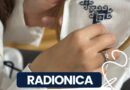 Radionica zmijanjskog veza