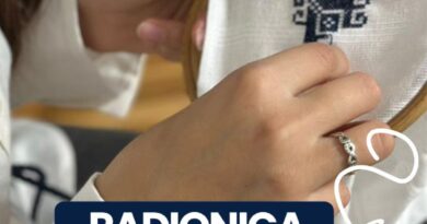 Radionica zmijanjskog veza